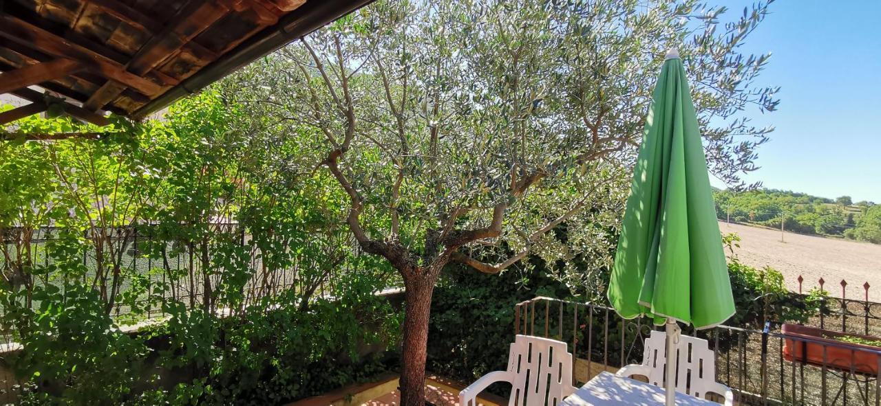 Country House Trevi Umbria Borghetto Vetuliae Santa Maria in Valle ภายนอก รูปภาพ